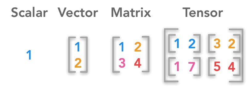 Scalar vector matrix tensor