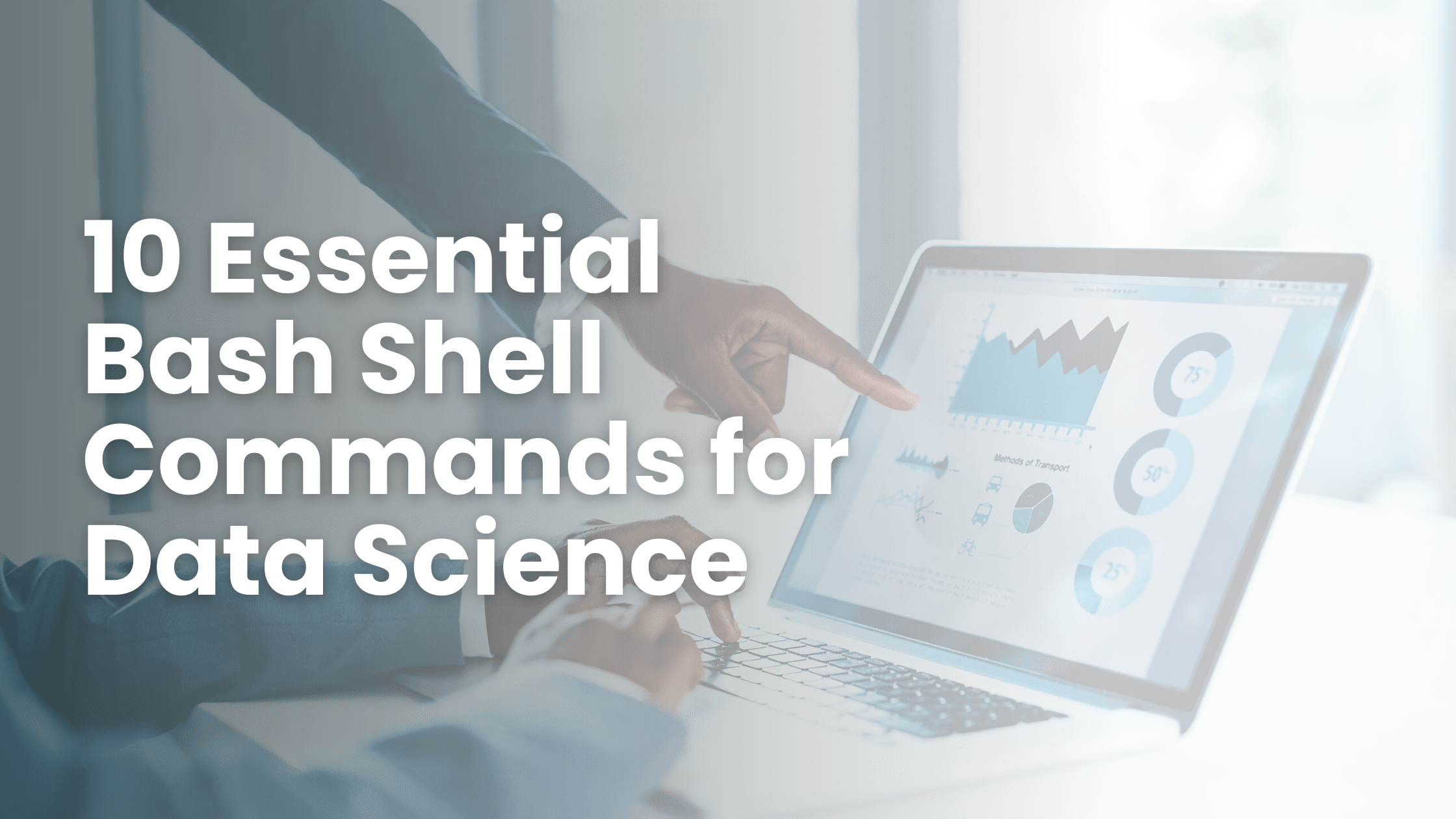 10 Essential Bash Shell Commands for Data Science