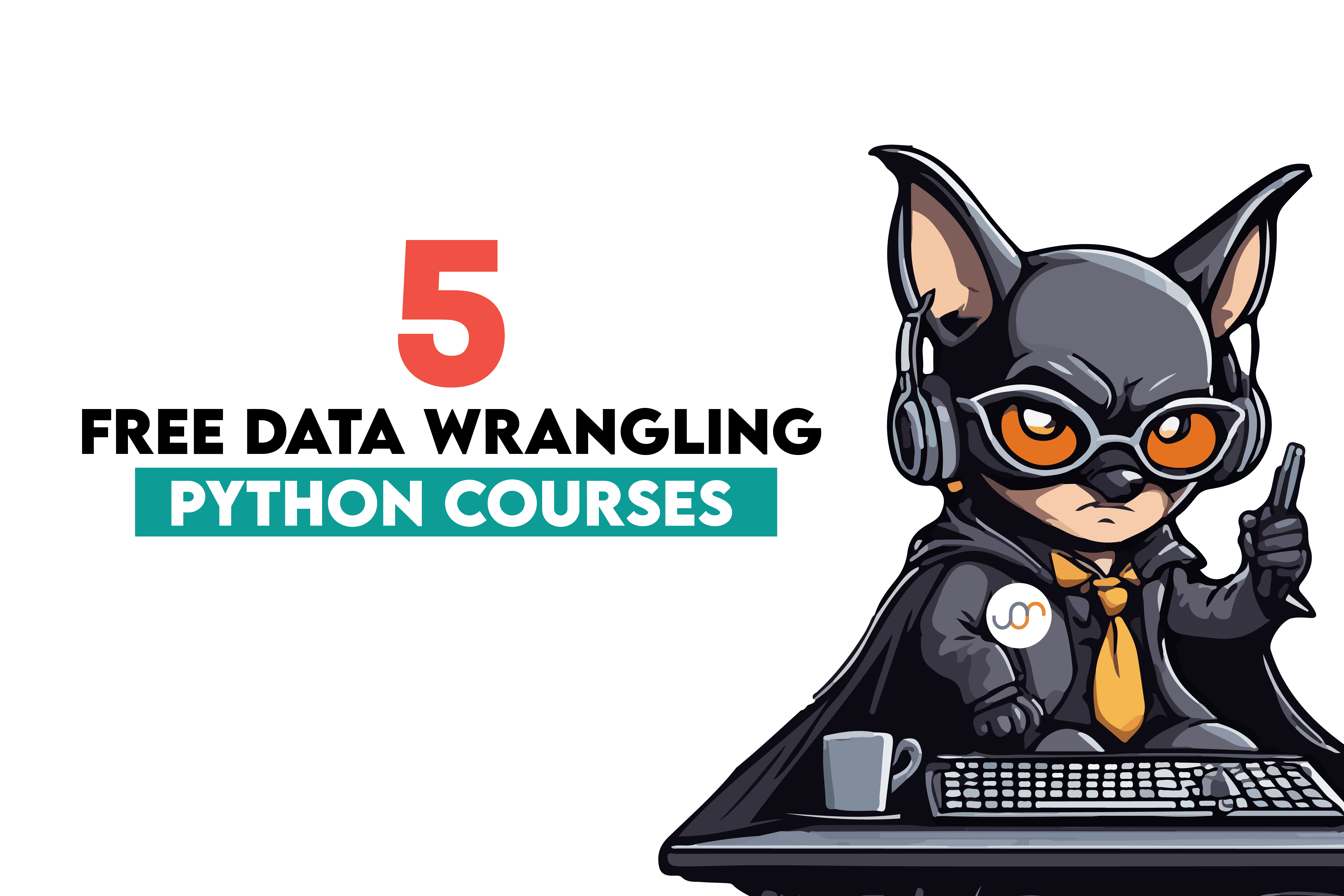 Master Data Wrangling with Python