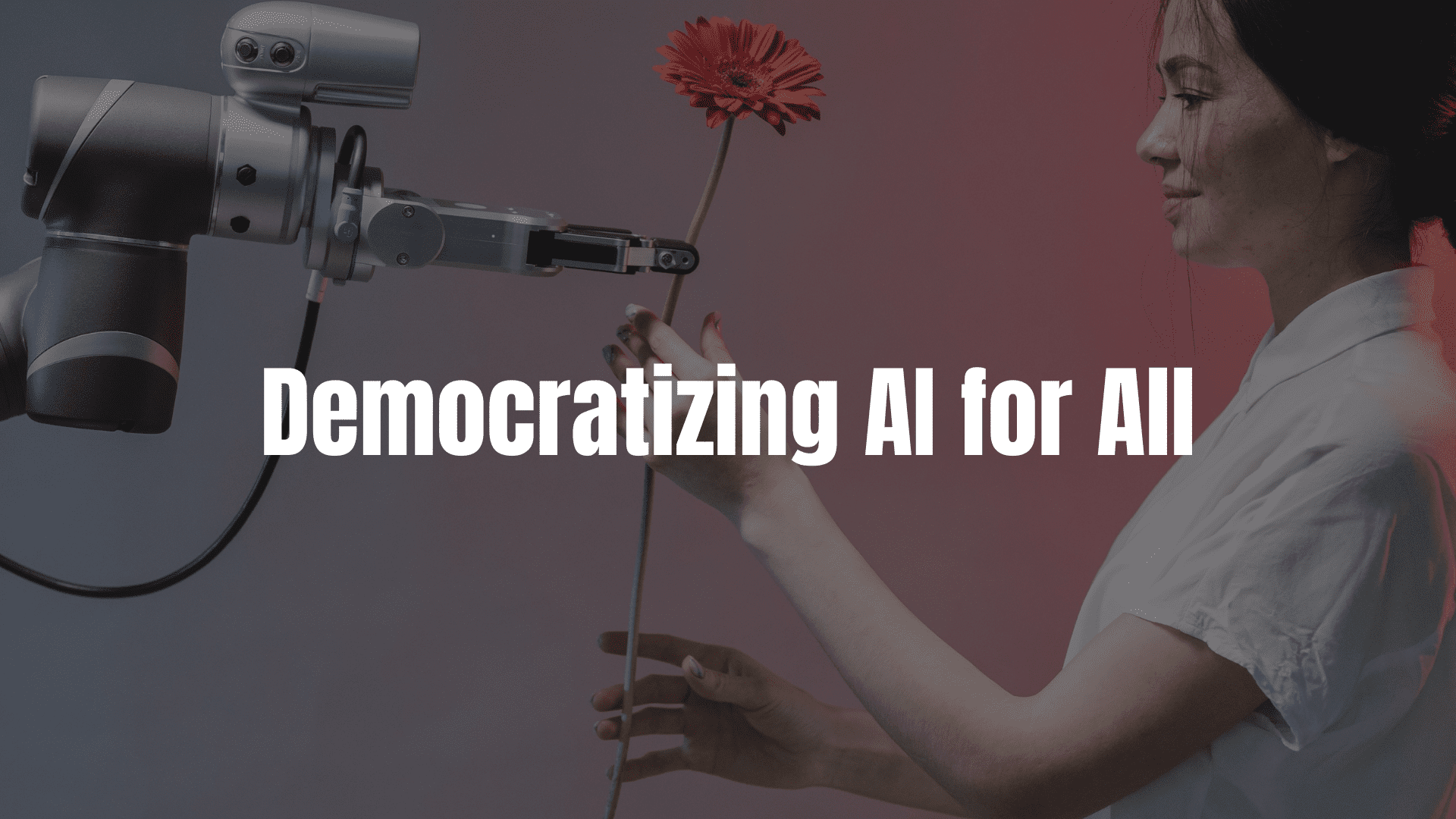 Bridging the Gap: Democratizing AI for All